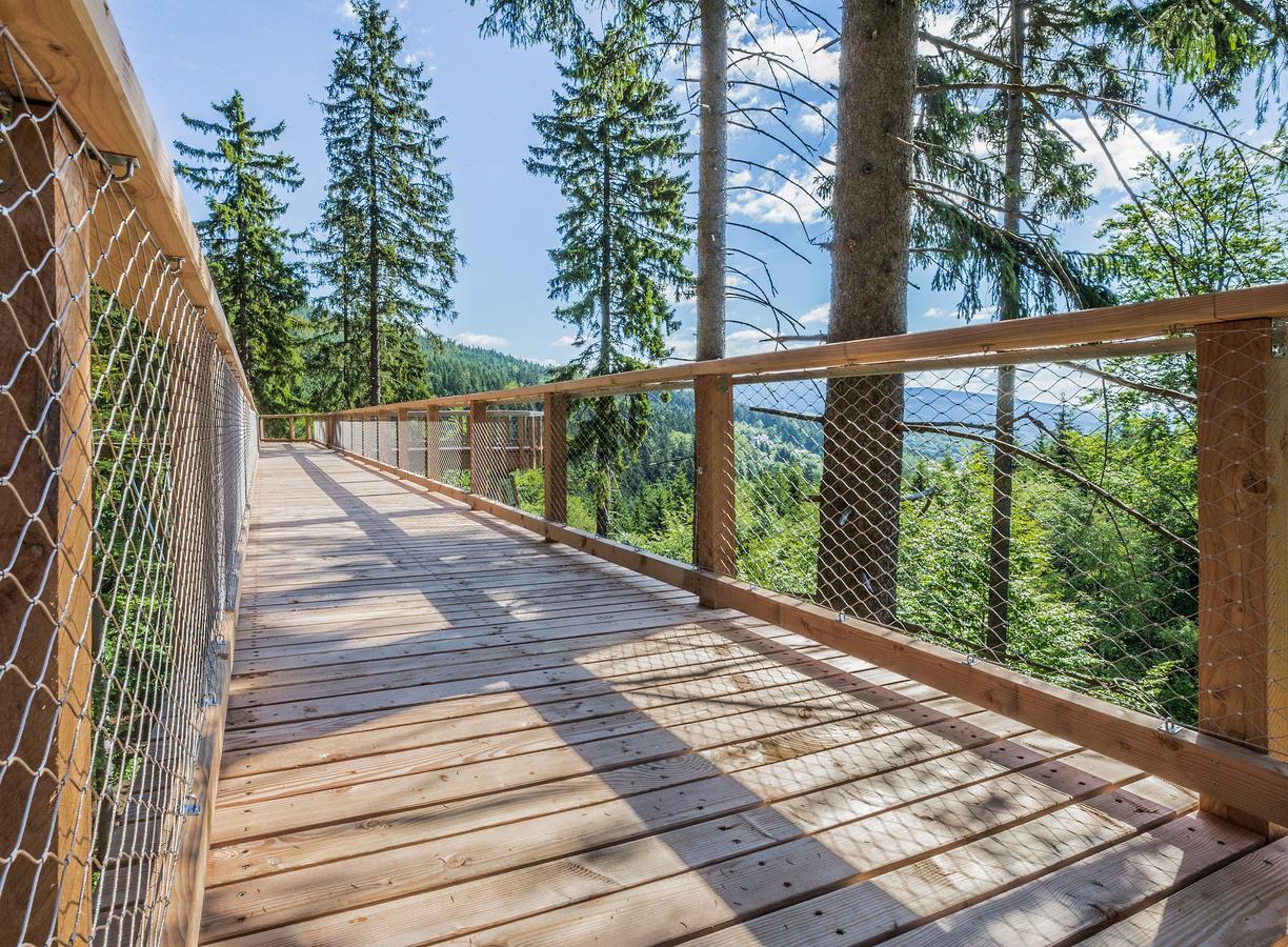 Ski Hotel Svoboda nad Úpou エクステリア 写真