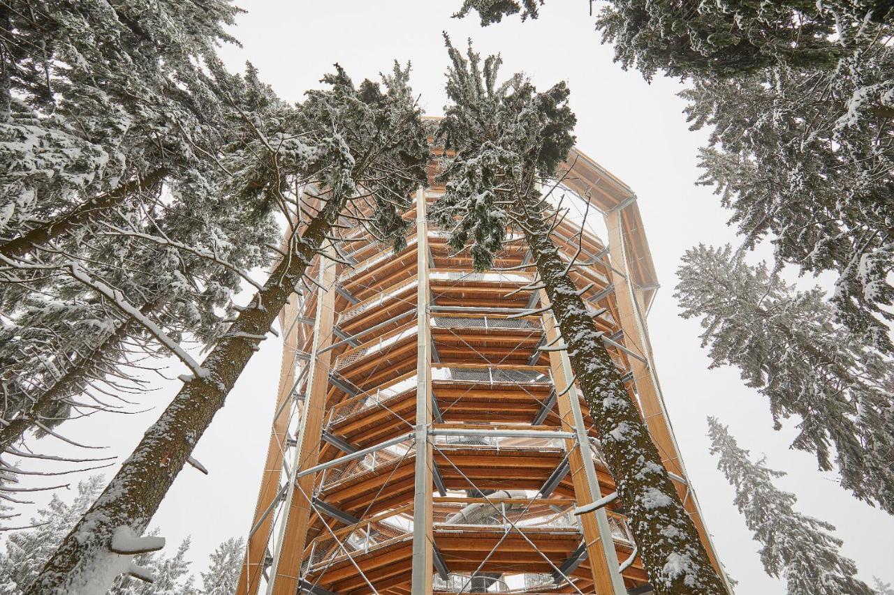 Ski Hotel Svoboda nad Úpou エクステリア 写真