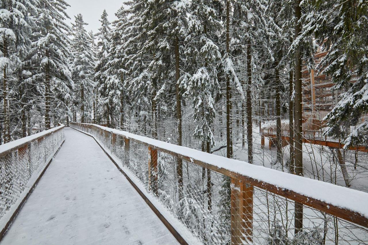 Ski Hotel Svoboda nad Úpou エクステリア 写真