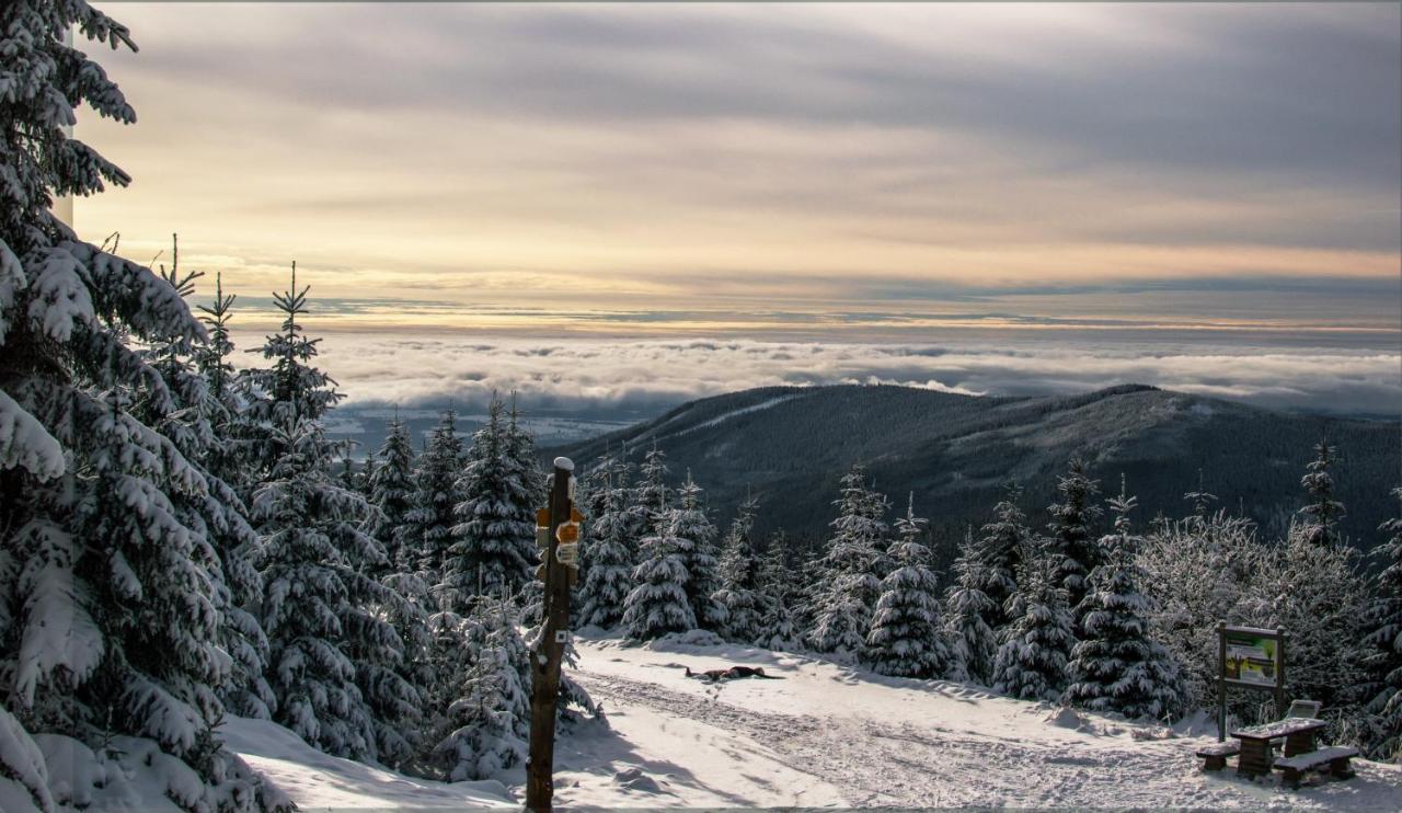 Ski Hotel Svoboda nad Úpou エクステリア 写真